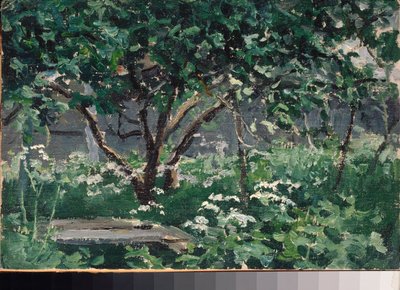 Un angolo del giardino da Alexei Steipanovitch Stepanov