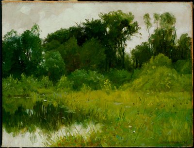 Dopo la pioggia, sul Minnehaha Creek da Alexis Jean Fournier