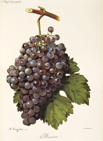 Uva Mission da Alexis Kreyder