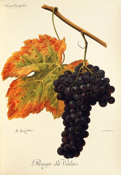 Rouge du Valais da Alexis Kreyder