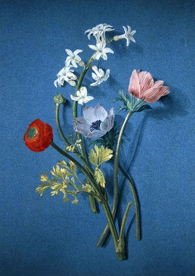 Ranuncoli, anemoni e gelsomino da Alexis Nicolas Perignon