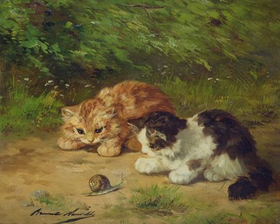Gattini e lumaca da Alfred Brunel de Neuville