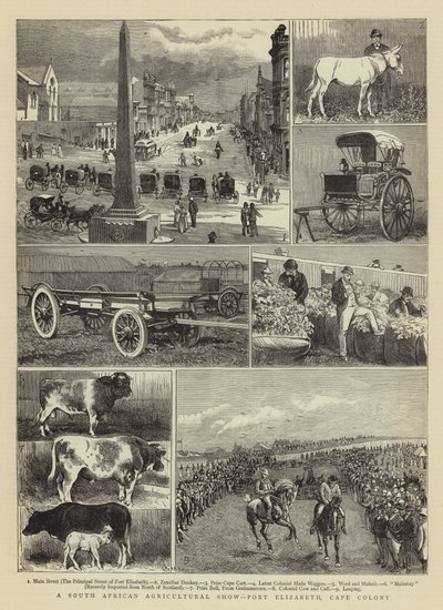Una mostra agricola sudafricana, Port Elizabeth, Colonia del Capo da Alfred Chantrey Corbould