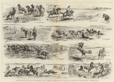 Cattura di cavalli selvaggi nelle pianure di Laramie, Nord America occidentale da Alfred Chantrey Corbould