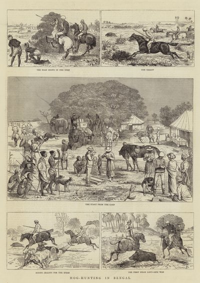 Caccia al cinghiale in Bengala da Alfred Chantrey Corbould