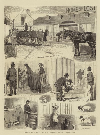 Casa per cani persi e affamati, Battersea da Alfred Chantrey Corbould