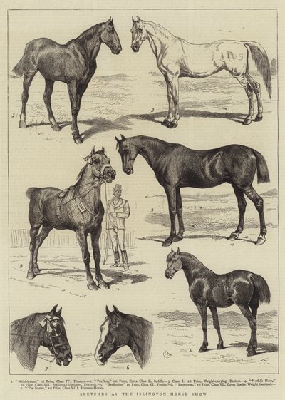 Schizzi alla Mostra del Cavallo di Islington da Alfred Chantrey Corbould