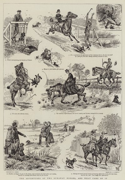 Le avventure di due cavalli fuggitivi e cosa ne è venuto fuori da Alfred Chantrey Corbould