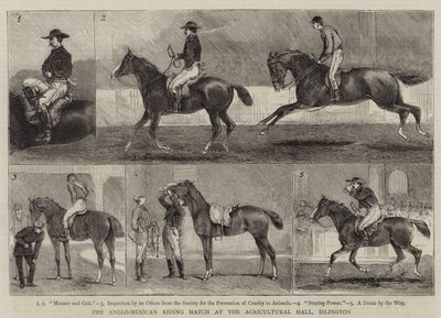 La gara di equitazione anglo-messicana all