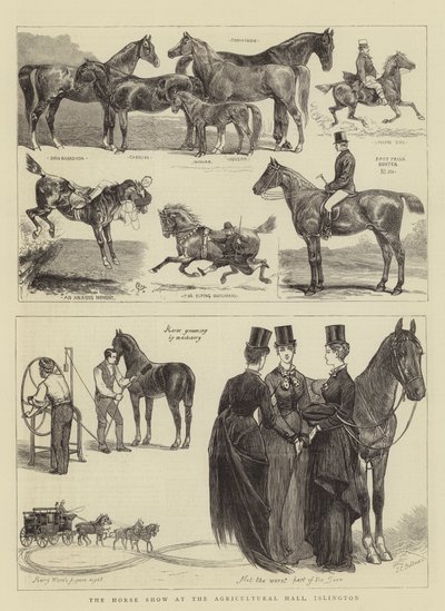 La mostra di cavalli alla Agricultural Hall, Islington da Alfred Chantrey Corbould