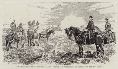 La batteria di muli da montagna, recentemente formata ad Aldershot, in azione sul Campo di Cesare da Alfred Chantrey Corbould