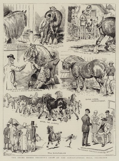 Mostra della Shire Horse Society all