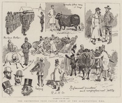 Mostra del Bestiame del Club Smithfield alla Sala Agricola da Alfred Chantrey Corbould
