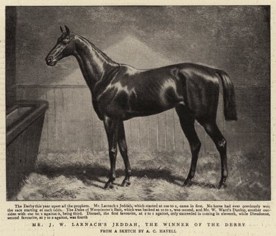 Mr J W Larnachs Jeddah, il vincitore del Derby da Alfred Charles Havell