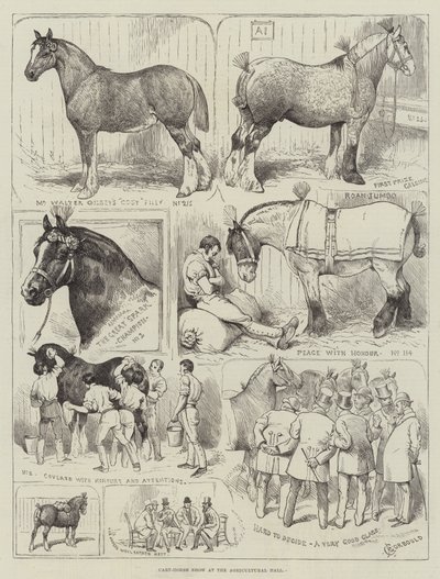 Mostra di cavalli da tiro all