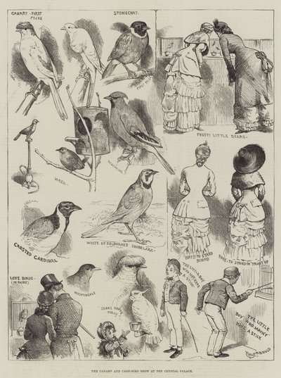 Mostra di canarini e uccelli in gabbia al Crystal Palace da Alfred Courbould
