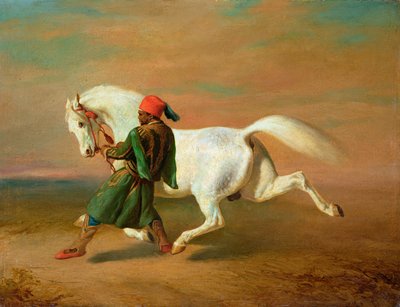 Immagine sconosciuta da Alfred Dedreux