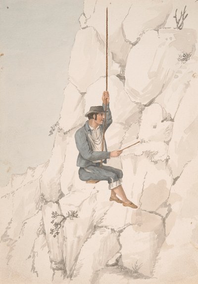 Gomero, raccoglitore di Orchilla da Alfred Diston