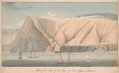 Parte della Baia della Città di San Miguel, La Palma da Alfred Diston