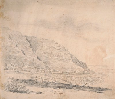 Realejo de arriba, Tenerife da Alfred Diston