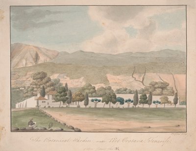 Il giardino botanico vicino a Port Orotava, Tenerife da Alfred Diston