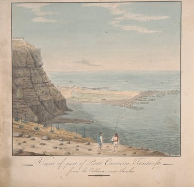 Veduta di parte di Port Orotava, Tenerife da La Caldeva, vicino a Sancho da Alfred Diston
