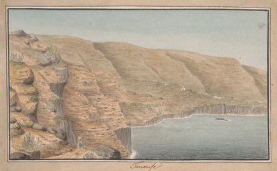 Vista di La Rambla de Castro vicino a Port Orotava, Tenerife da Alfred Diston