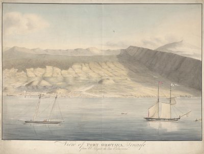 Veduta di Port Orotava, Tenerife, da El Limpio de Las Calaveras da Alfred Diston
