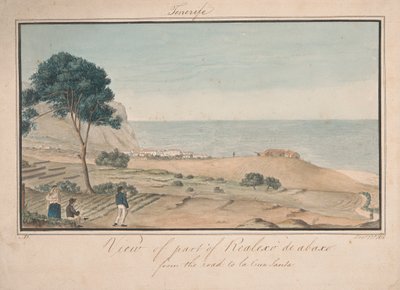 Veduta di parte di Realesco de abasco dalla strada per la Cruz Santa da Alfred Diston