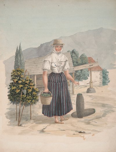Donna di El Miradero, Tenerife da Alfred Diston
