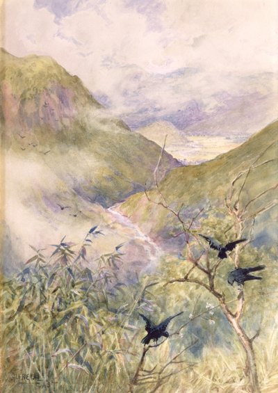 Guardando oltre i gigli: La valle di Nikko guardando verso est verso la provincia di Shimo-no-Tsuke, c.1889 da Alfred East