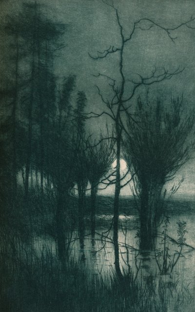 La Luna Silenziosa da Alfred East