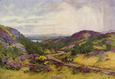 Danimarca: Colline di Raebild, vicino ad Aalborg da Alfred Heaton Cooper