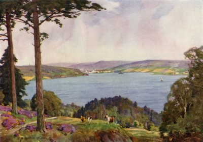 Danimarca: Fiordo di Vejle, Jutland meridionale da Alfred Heaton Cooper