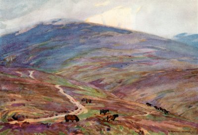 Pony di Exmoor, sotto Dunkery Beacon da Alfred Heaton Cooper