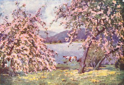 Distretto dei Laghi: Esthwaite Water, Fiori di melo da Alfred Heaton Cooper
