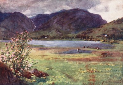 Distretto dei Laghi: Little Langdale Tarn da Alfred Heaton Cooper