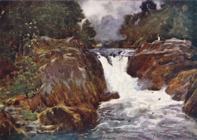 Distretto dei laghi: Skelwith Force, Langdale da Alfred Heaton Cooper
