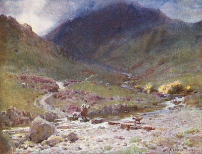 Distretto dei Laghi: Pietre di passaggio, Far Easedale, Grasmere da Alfred Heaton Cooper