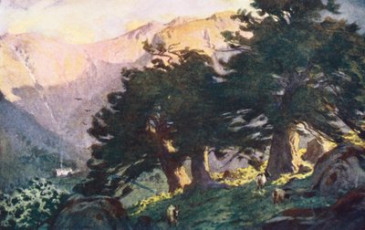 Distretto dei Laghi: Gli Yews di Borrowdale, sera da Alfred Heaton Cooper
