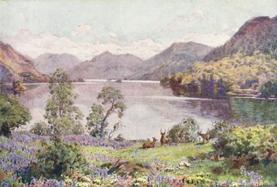 Distretto dei Laghi: Ullswater, da Gowbarrow Park, una calda mattina di giugno da Alfred Heaton Cooper