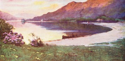 Distretto dei Laghi: Ullswater, la Spiaggia d