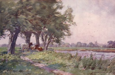 Mezzogiorno sullo Stour, Suffolk da Alfred Heaton Cooper