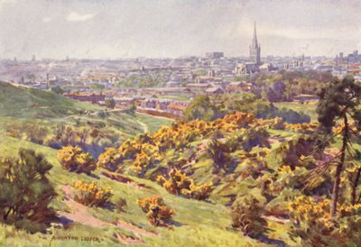 Norwich da Mousehold Heath, Norfolk da Alfred Heaton Cooper