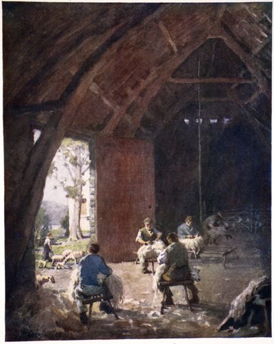 Tosatura delle pecore, Esthwaite Hall Farm, da un portfolio di stampe dagli acquerelli originali, c.1920 da Alfred Heaton Cooper