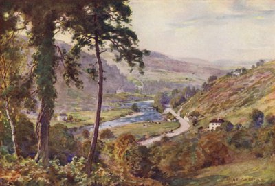 La Valle di Ovoca da Alfred Heaton Cooper