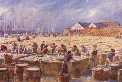 Yarmouth, Norfolk, la raccolta delle aringhe da Alfred Heaton Cooper