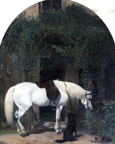 Cavallo bianco e retriever da Alfred Hichens Corbould