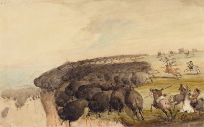 Mandrie di bufali spinte giù da un precipizio, c.1837 da Alfred Jacob Miller