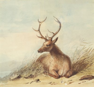 Alce, Montagne Rocciose, c.1837 da Alfred Jacob Miller